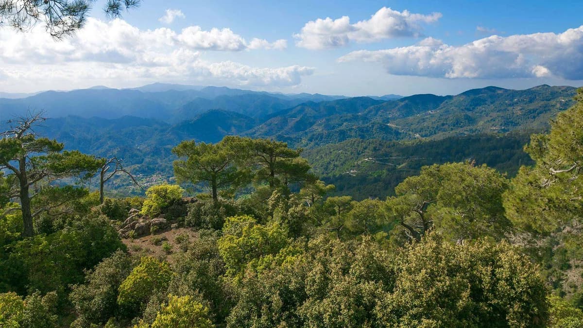 Τριήμερο εκδηλώσεων για τη Διεθνή Ημέρα Δασών με ελεύθερη είσοδο