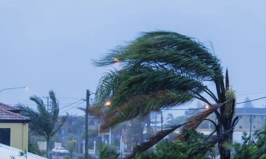 רוחות סערה גורמות נזק בשטחים הכבושים - אזהרה על עוצמה 8