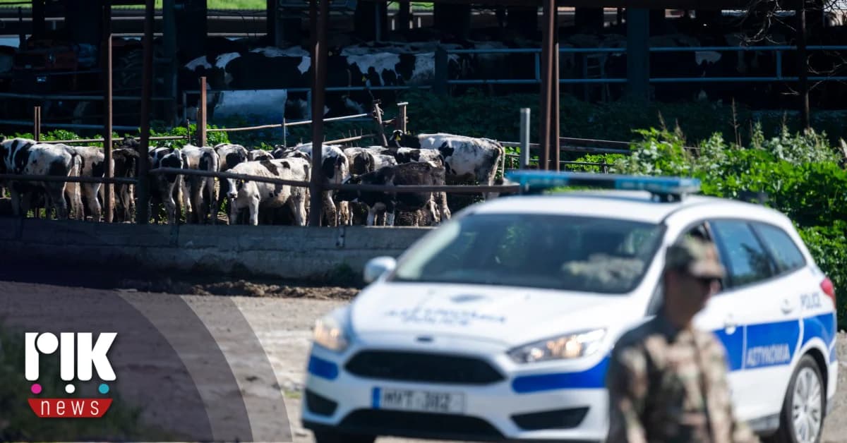 כריסטודולידיס: מחויבות להחיות את גידול הבקר בקפריסין