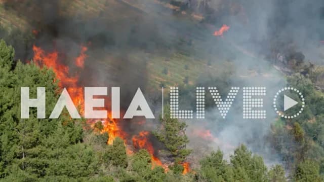 Incendio en Vytinaika, Pyrgos, Ilia: Operación de extinción de incendios forestales en curso