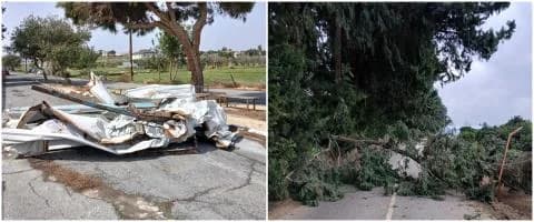 Fuertes vientos causan problemas en Limassol: árboles caídos e interrupciones del tráfico