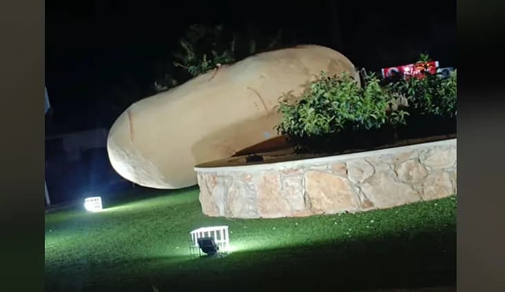 ה'תפוח אדמה' המפורסם של קסילופאגו נעקר על ידי רוחות חזקות