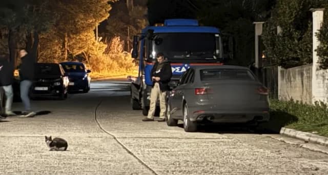 נאה מקרי: שלושה אזרחים טורקים נעצרו בגין ירי