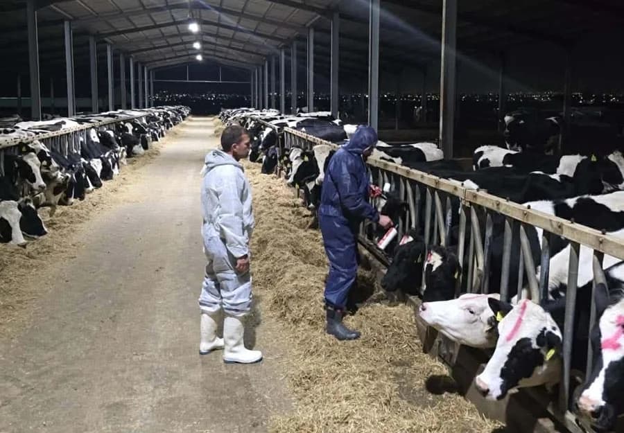 Έφοδος σε κτηνοτροφική μονάδα στο Γέρι με τη συνοδεία Αστυνομίας