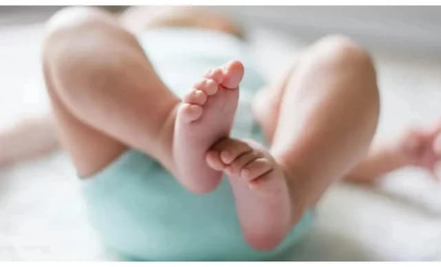 Σεμπάστιαν Σταν και Άναμπελ Γουόλις περιμένουν παιδί