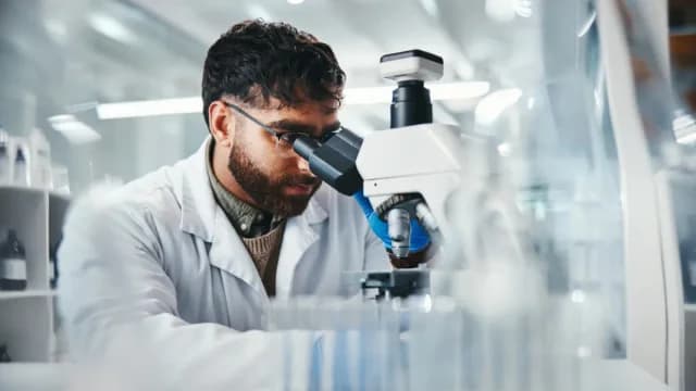Wissenschaftler erschaffen erste im Labor gezüchtete Speiseröhre