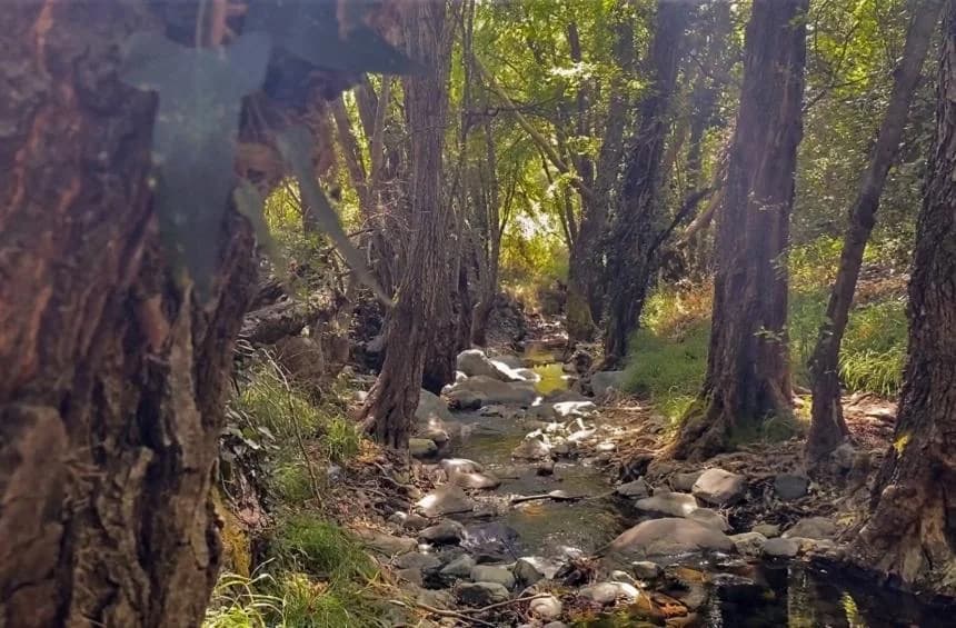 森林道路因山体滑坡而封闭