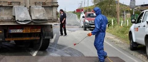 Αφθώδης πυρετός: Νέα κρούσματα και 21,000 θανατώσεις ζώων