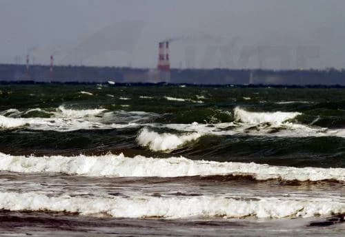 El flujo de agua dulce al mar no es una pérdida, dicen los Departamentos de Agua y Pesca