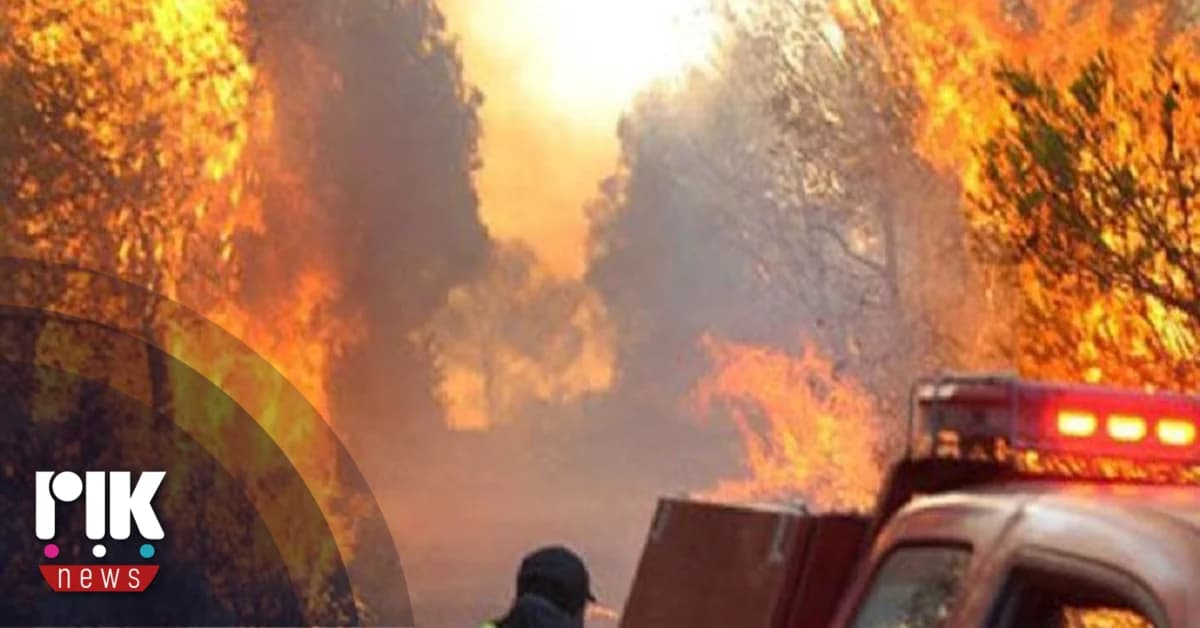Βουλή: Ευθύνες στην Υπουργό για τις πυρκαγιές στη Λεμεσό