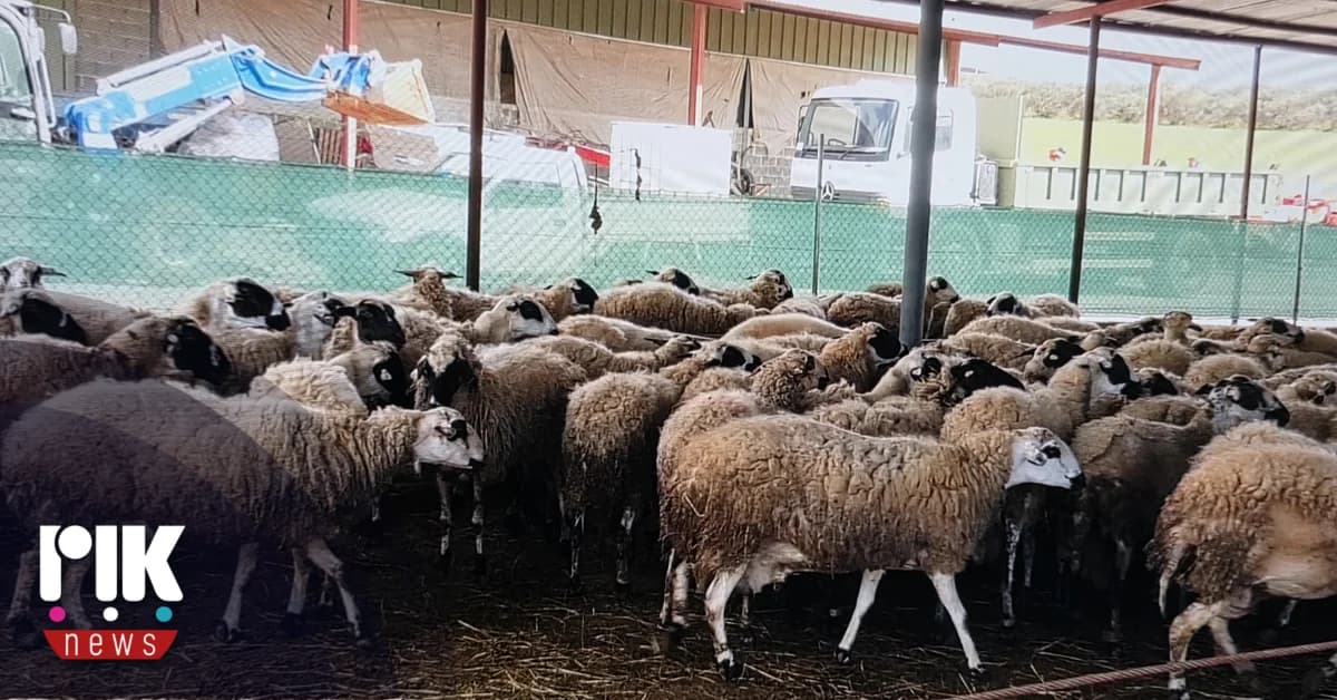 Αφθώδης πυρετός: Νέο κρούσμα στη Δρομολαξιά