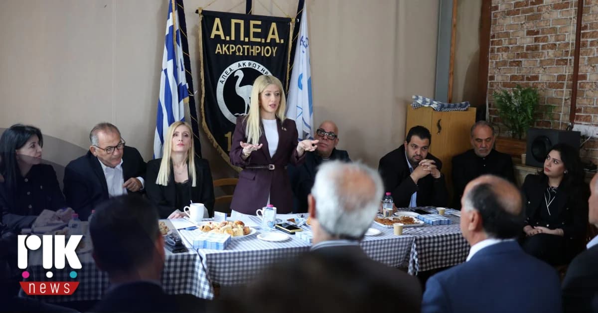 Άννιτα Δημητρίου: Σύσκεψη για τις Βρετανικές βάσεις στο Ακρωτήρι