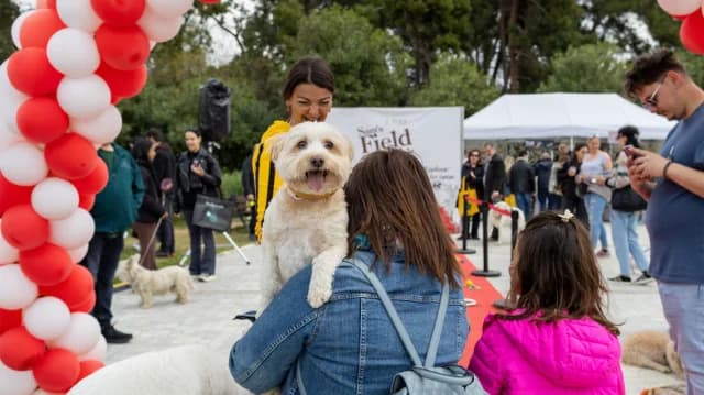 פסטיבל Woof 2026: אימוצים ופעילויות בפדיון טו ארס
