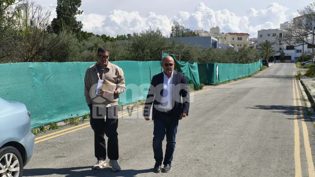D. Papadakis at Nicosia TAE: Delivers report on his case