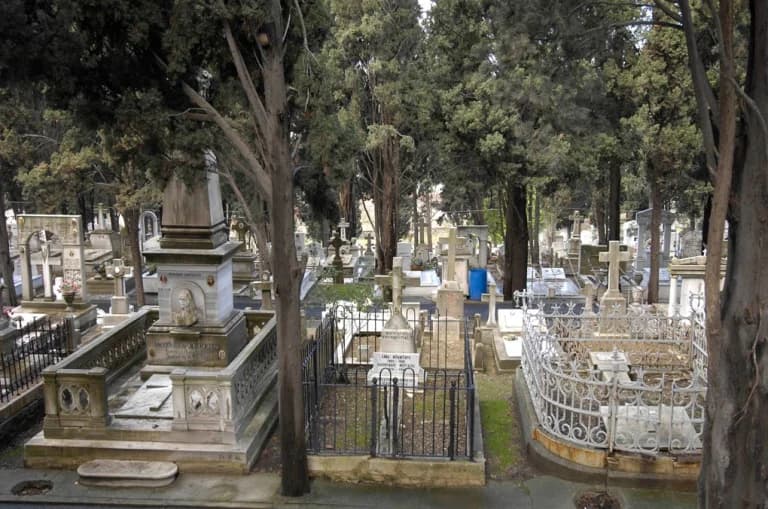 Trinidad and Tobago: Bodies of 50 Infants and 6 Adults Found in Cemetery