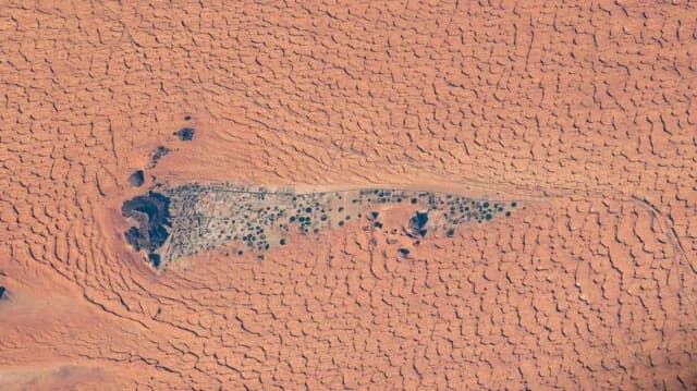 NASA: Το «πράσινο θαύμα» της ερήμου Nefud από το διάστημα