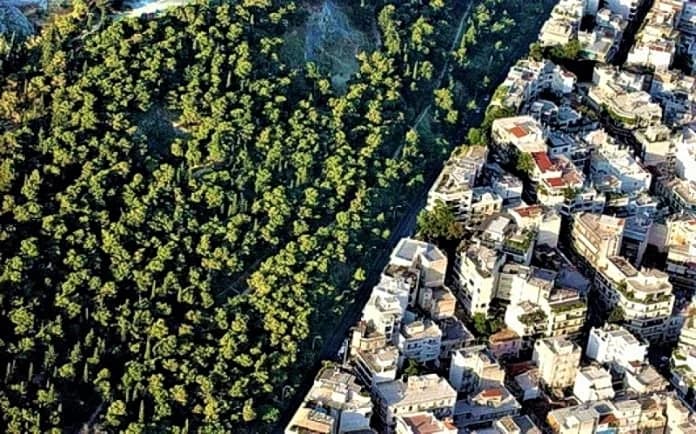 Αξιοποίηση δασικών εκτάσεων: Όροι και προϋποθέσεις