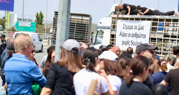 חקלאי בקר שוקלים פעולה לאחר שהנשיא סירב לפגישה