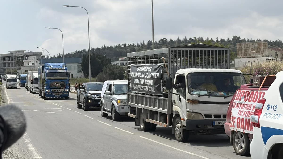 חקלאי בעלי חיים מתכננים הפגנות חדשות: למה לצפות
