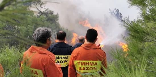 Риск лесных пожаров: «Красная тревога» и призыв к осторожности