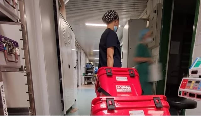 Hippokratio Thessaloniki: 2,716 Transplants in 45 Years
