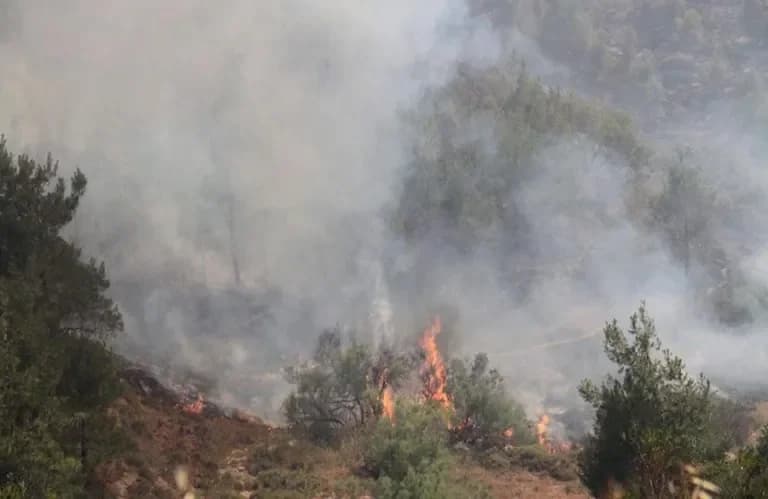 Incendio forestal en Pegeia bajo control – Un decare dañado