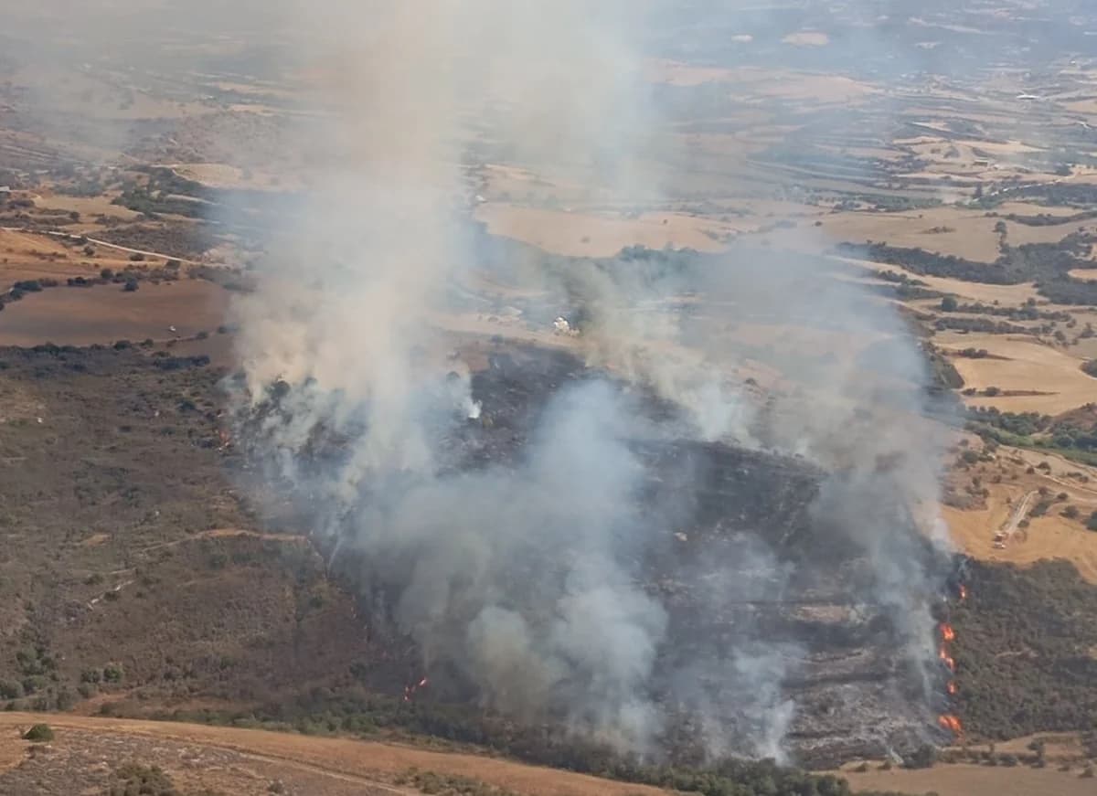 Paphos Fire Contained: Ground and Air Forces Deployed