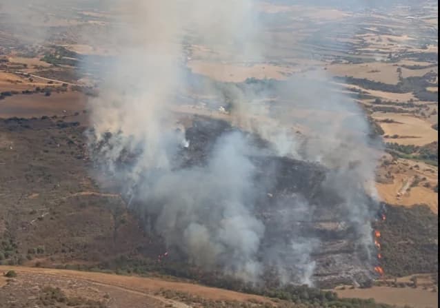 Paphos Fire: 15 Vehicles and 5 Aircraft in Extinguishing Operation