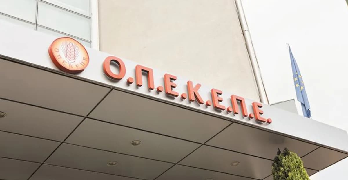 Υπόθεση ΟΠΕΚΕΠΕ: Ενοχή για 7 κατηγορούμενους πρότεινε η Εισαγγελέας