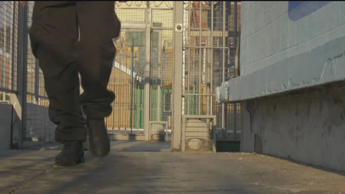 狱警因洗钱案被停职