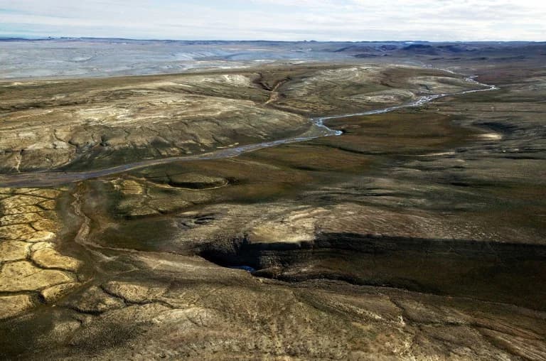 23 Millionen Jahre alte Proteine revolutionieren die Paläontologie