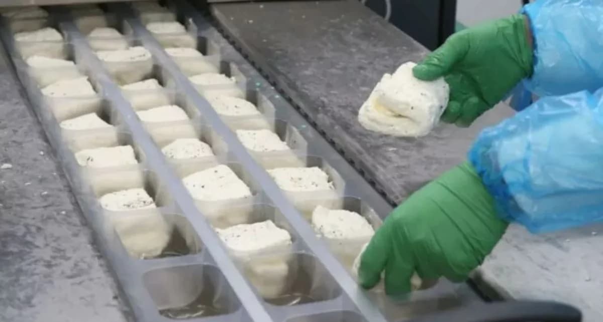 New Measures for Cypriot Goat and Sheep Farming, Halloumi PDO