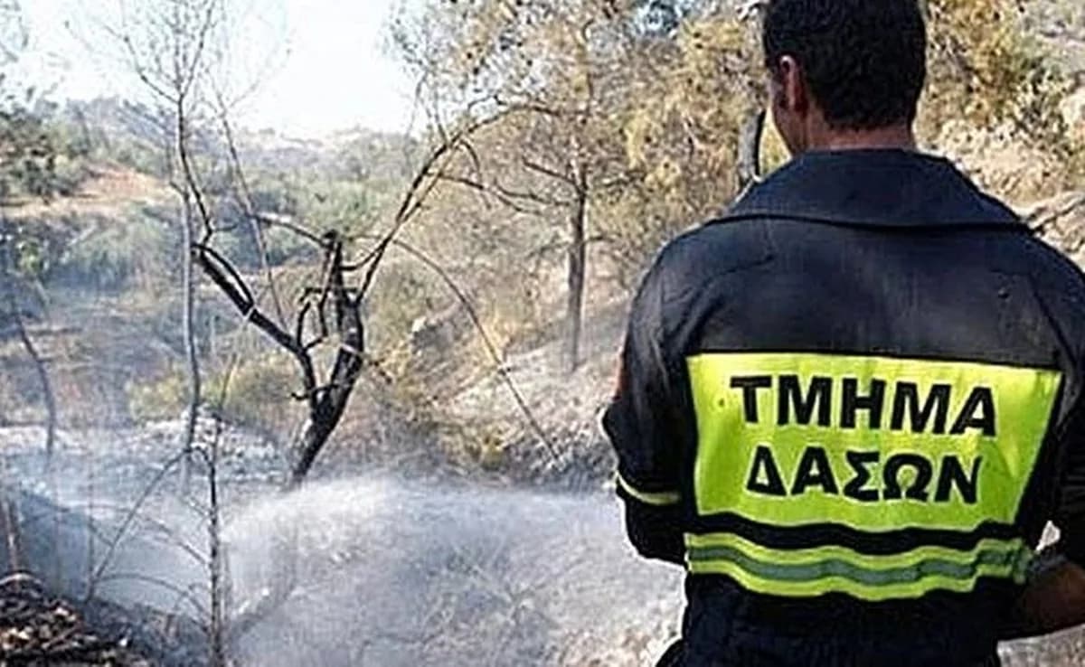 Πυρκαγιά στις Δύμες Λεμεσού: Υπό έλεγχο άμεσα