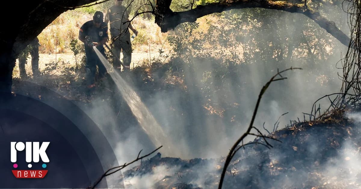 Φωτιά στις Δύμες Λεμεσού: Ανθρώπινος παράγοντας η αιτία
