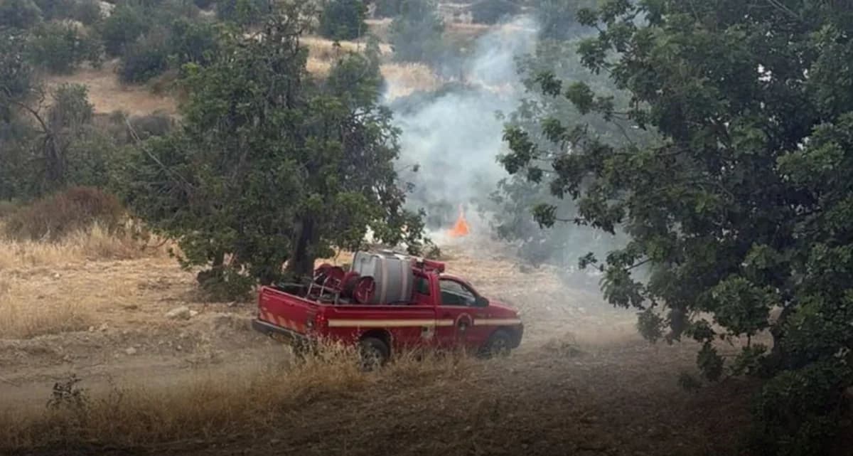 Λεμεσός: 84χρονος κατηγορείται για πυρκαγιά στις Δύμες