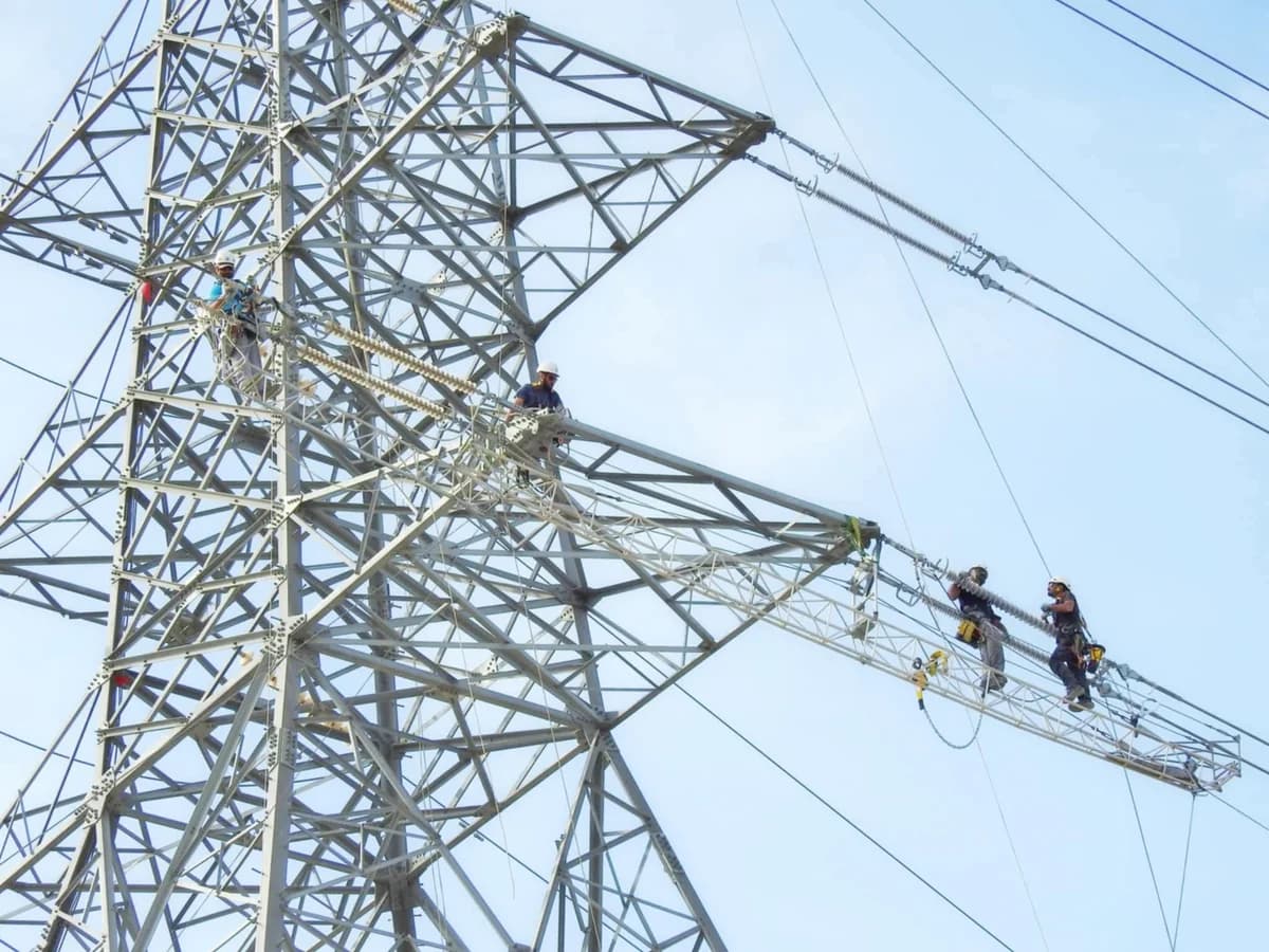 Red Eléctrica al Límite por Ola de Calor: ¿Cortes de Energía Planificados?