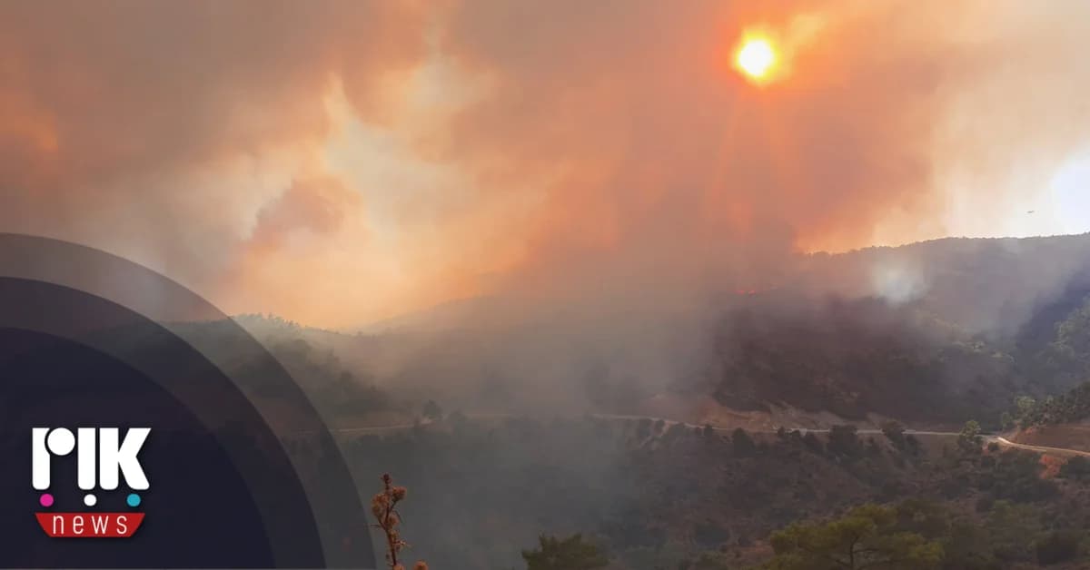 Hohe Waldbrandgefahr: "Rote Alarmstufe" für morgen