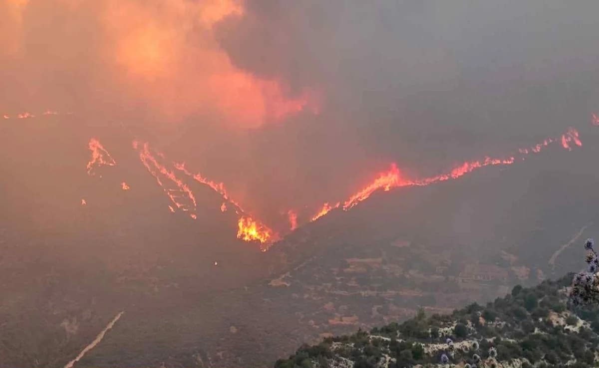 לופו: 36 אנשים לכודים באוטובוס עקב שריפה