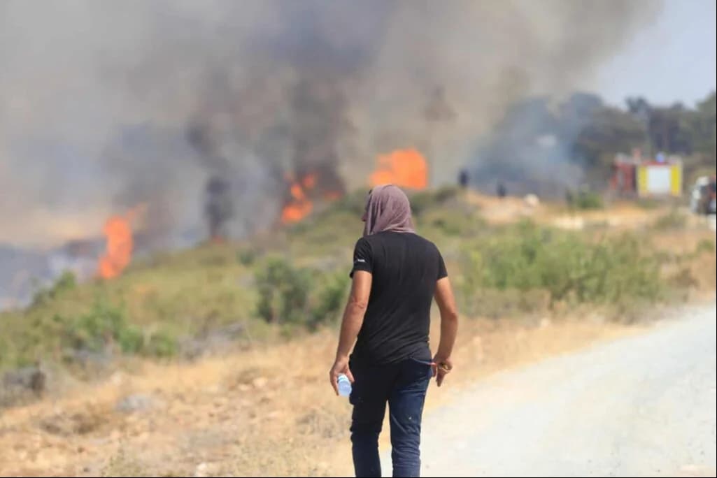 Limassol: Staatsversagen und Rücktrittsforderungen nach Brand