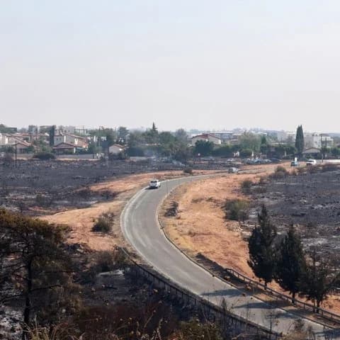 Al menos cincuenta animales de granja muertos en los incendios de Limassol
