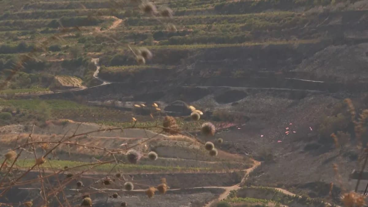 Reunión en el Ministerio de Agricultura sobre compensación a agricultores afectados por incendios en Limassol