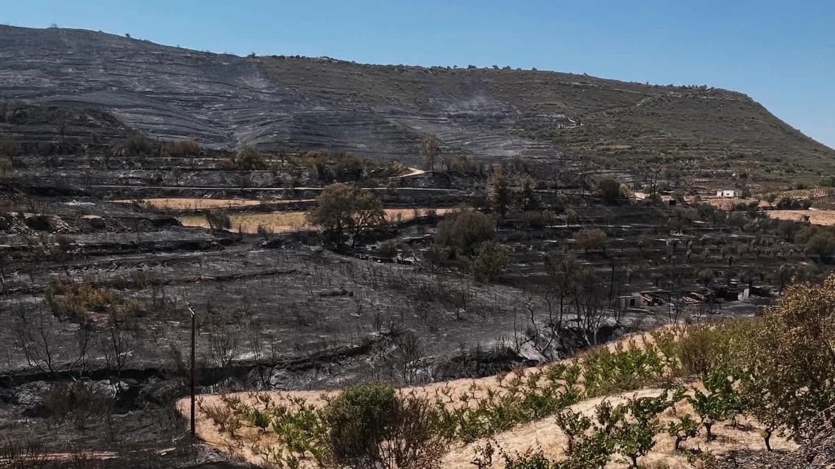 Incendio en las aldeas vinícolas de Limassol: Impacto en la viticultura