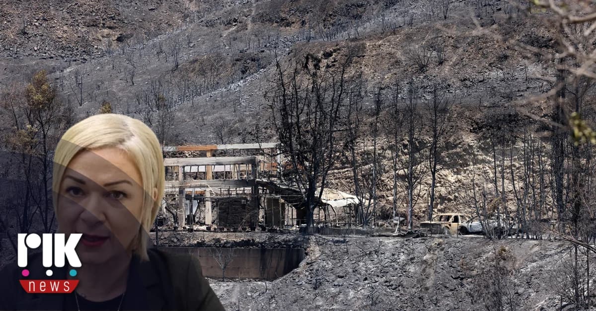 Investigation into the Causes of Fires in Limassol