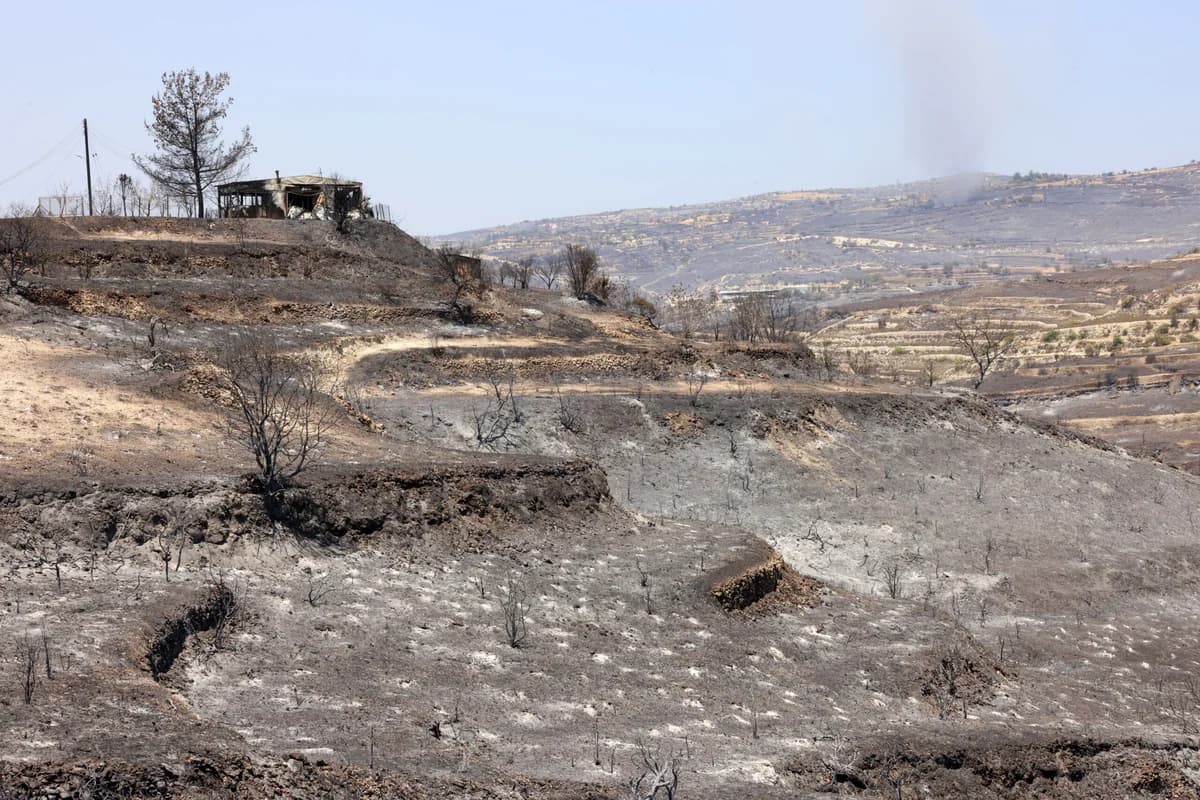 Συναγερμός στην Λεμεσό: Καταδίωξη υπόπτου για πρόκληση πυρκαγιάς