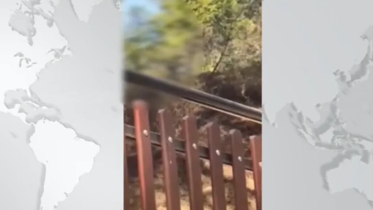 VIDEO: Movimientos del sospechoso de incendio provocado en Troodos captados en cámara