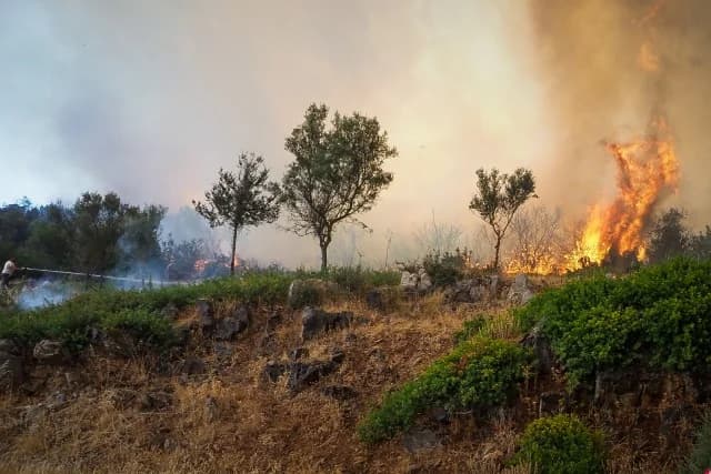 Eubea: Comienzan los lanzamientos de agua desde el aire para combatir el incendio forestal