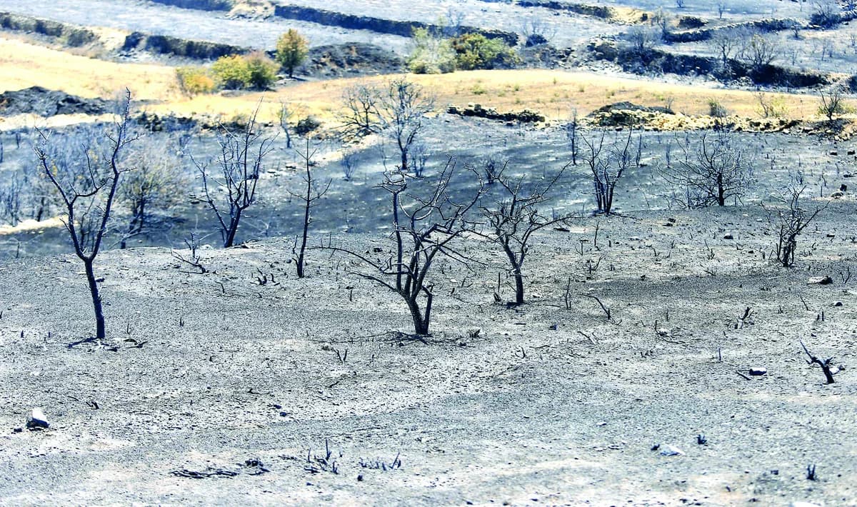 Έκκληση για στήριξη της Λεμεσού μετά τις πυρκαγιές