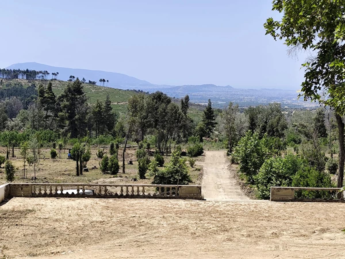 Τατόι: Έργα σε εξέλιξη στο πρώην βασιλικό κτήμα - Αυτοψία Μενδώνη