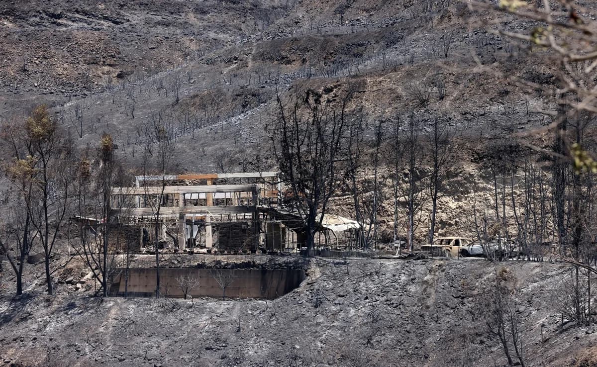 Tödlicher Waldbrand zerstörte 1,3 % von Zypern