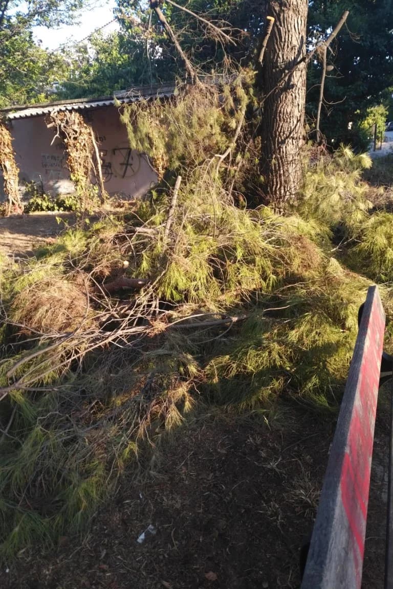 Scenes of Neglect and Danger in Attica Municipalities